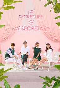 Nàng Thư Ký Của Tôi - The Secret Life of My Secretary (2019)